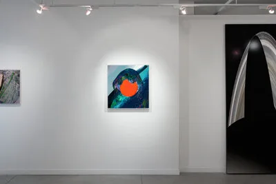 20131017 Alex Fischer Dry Pixels and Wet Molecules O'Born Contemporary 15 Seeding +Jelly Portrait +Disc documentation.jpg